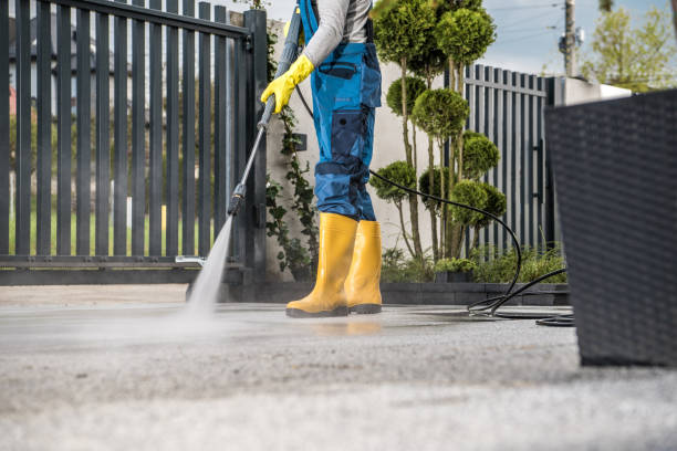 Professional Pressure Washing Services in Honaunau Napoopoo, HI