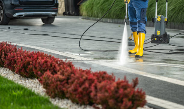 Best Building Exterior Washing  in Honaunau Napoopoo, HI